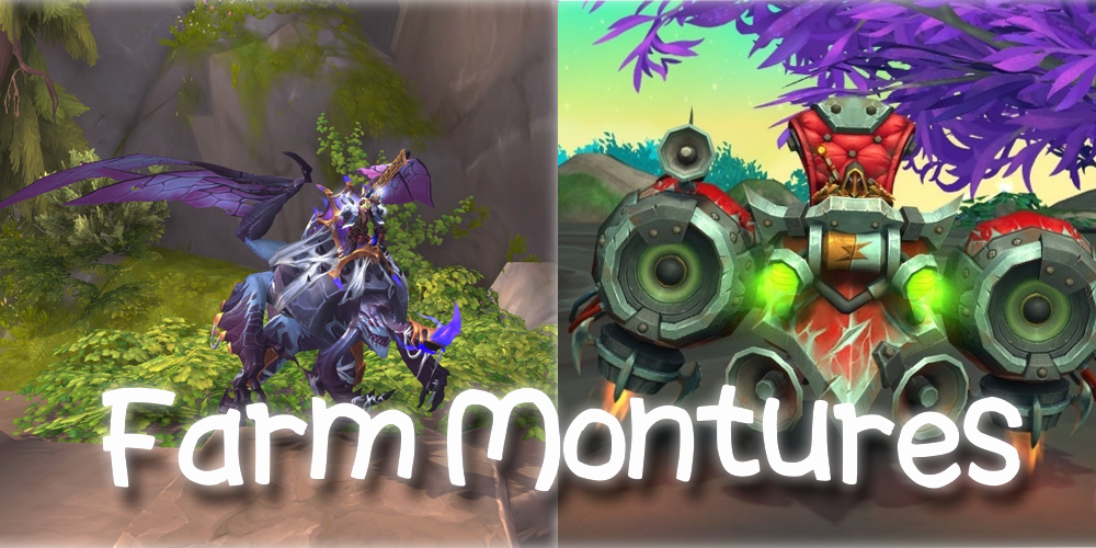 Ansurek NM x5 + Gally NM x5