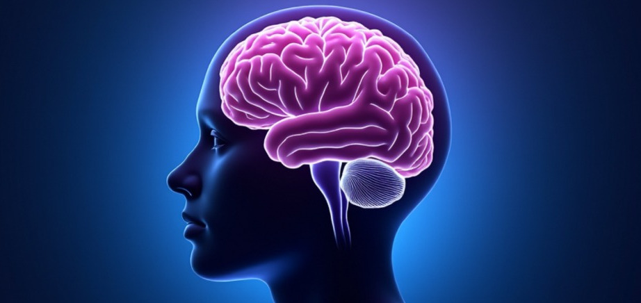 🧠 Grocervo - React Docus et papotage